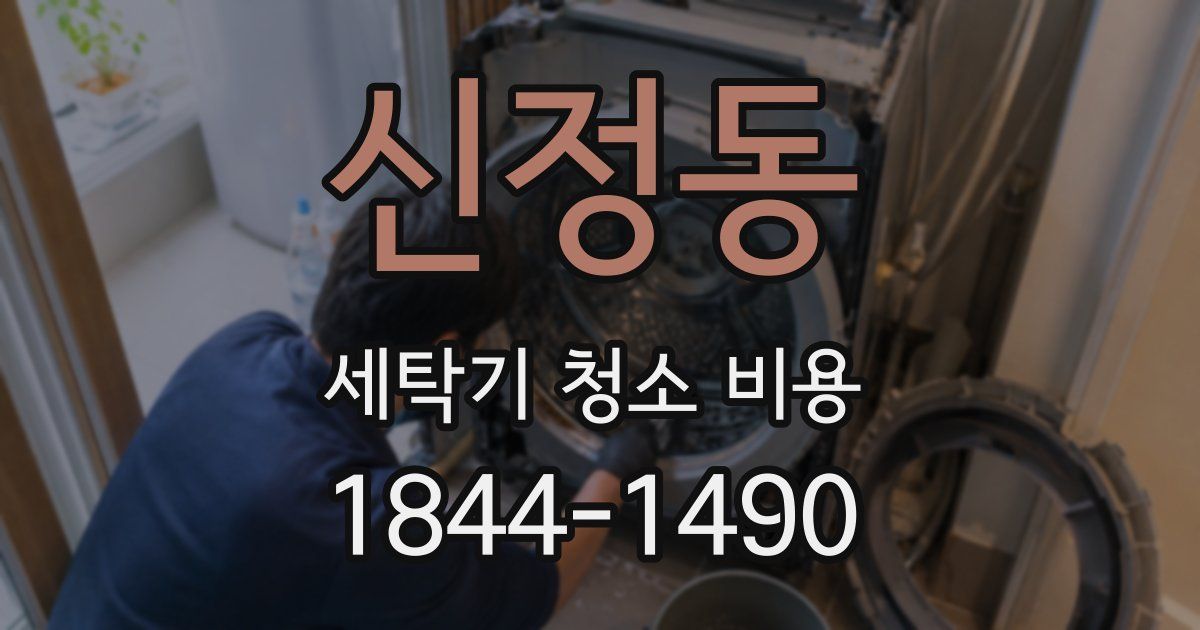 신정동 세탁기 청소 비용