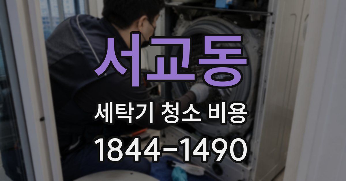 서교동 세탁기 청소 비용