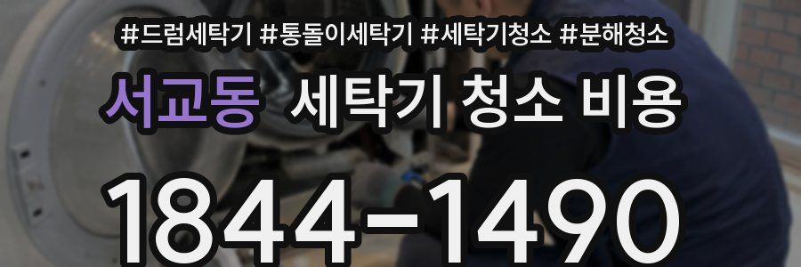 서교동 세탁기 청소 비용