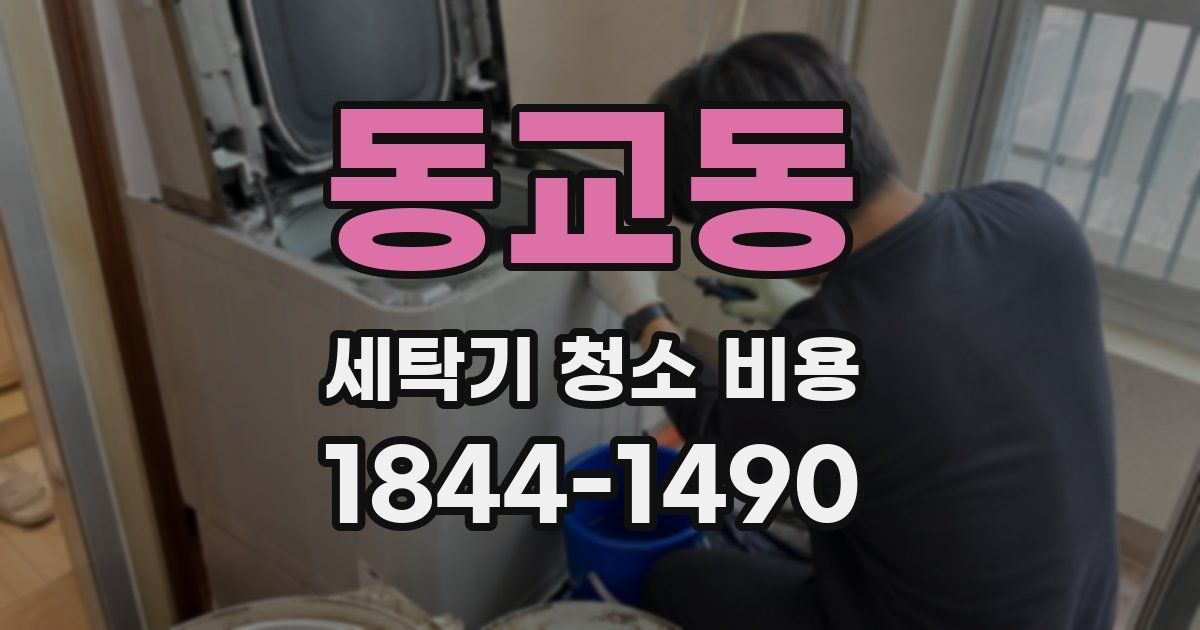 동교동 세탁기 청소 비용