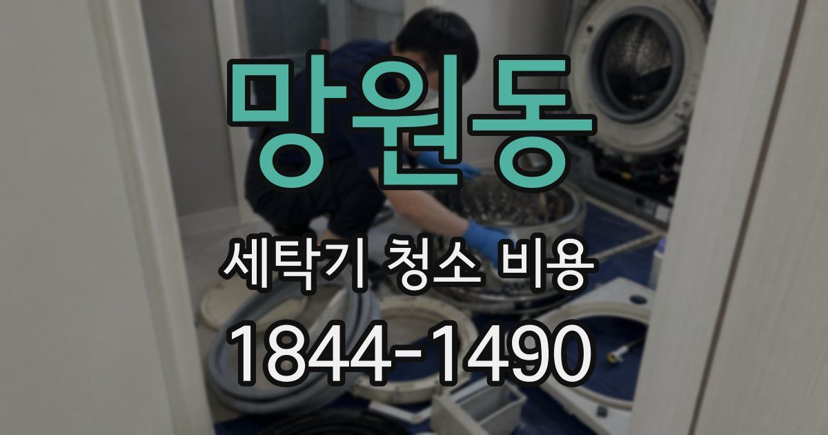 망원동 세탁기 청소 비용