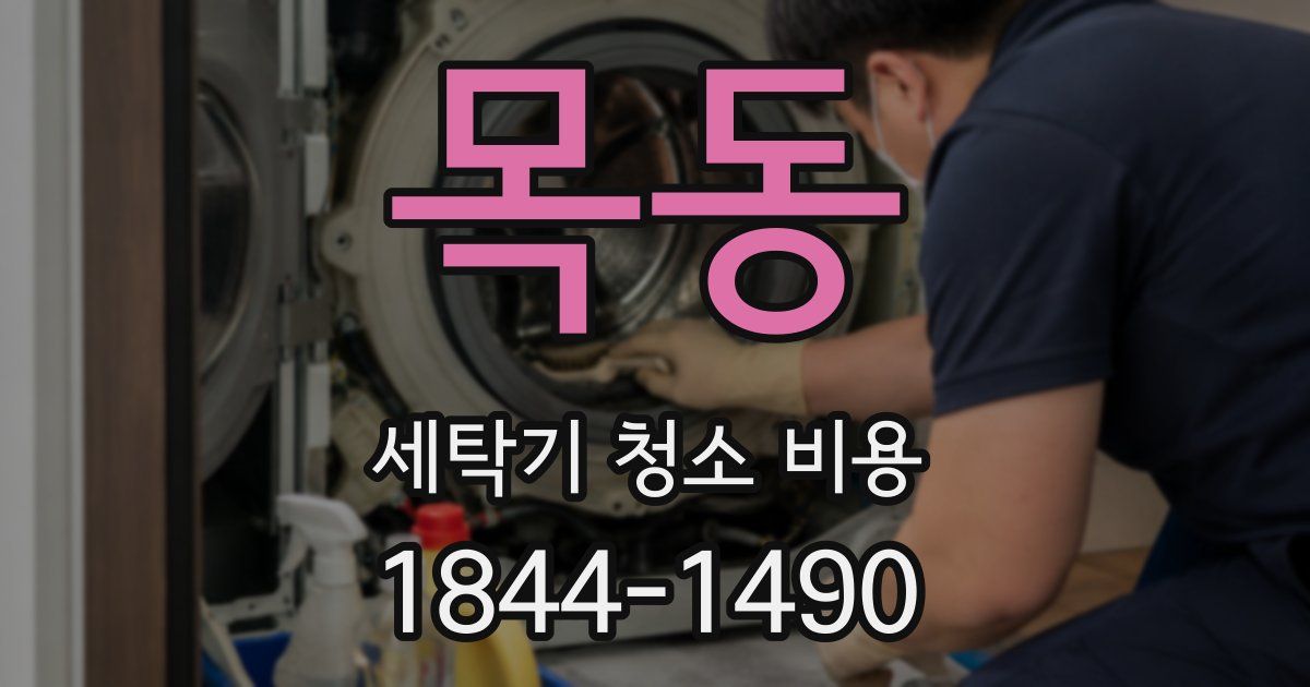 목동 세탁기 청소 비용