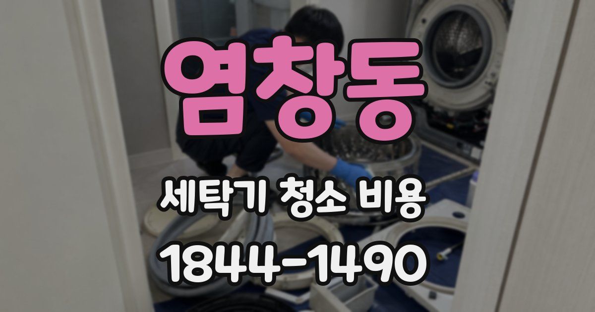 염창동 세탁기 청소 비용