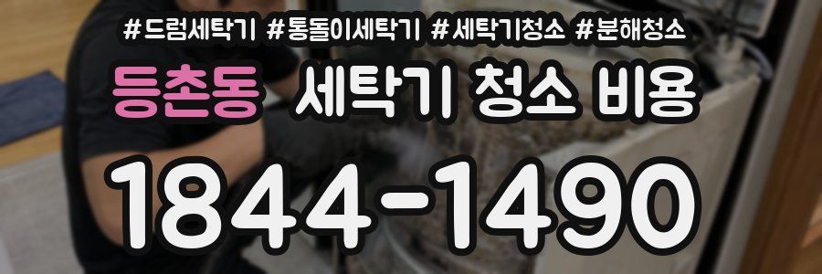 등촌동 세탁기 청소 비용