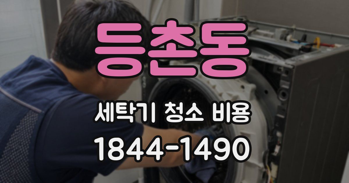 등촌동 세탁기 청소 비용