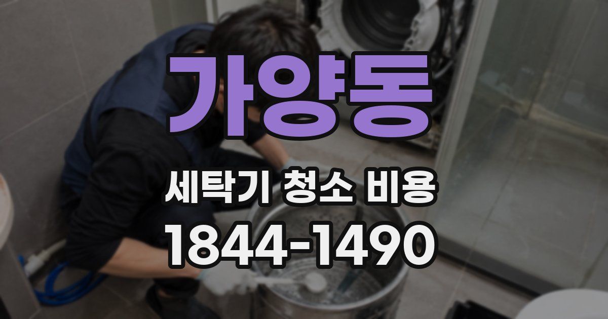 가양동 세탁기 청소 비용