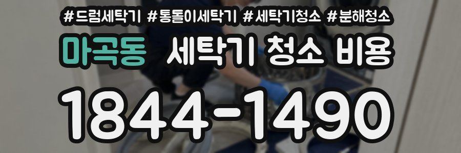 마곡동 세탁기 청소 비용