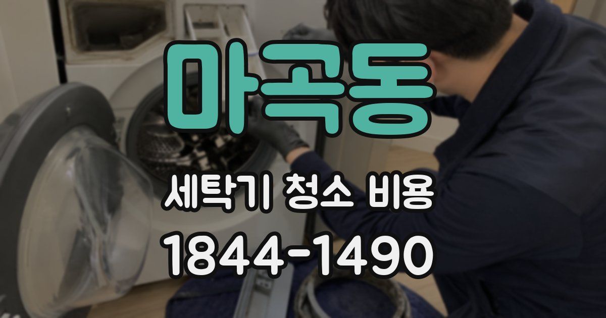 마곡동 세탁기 청소 비용