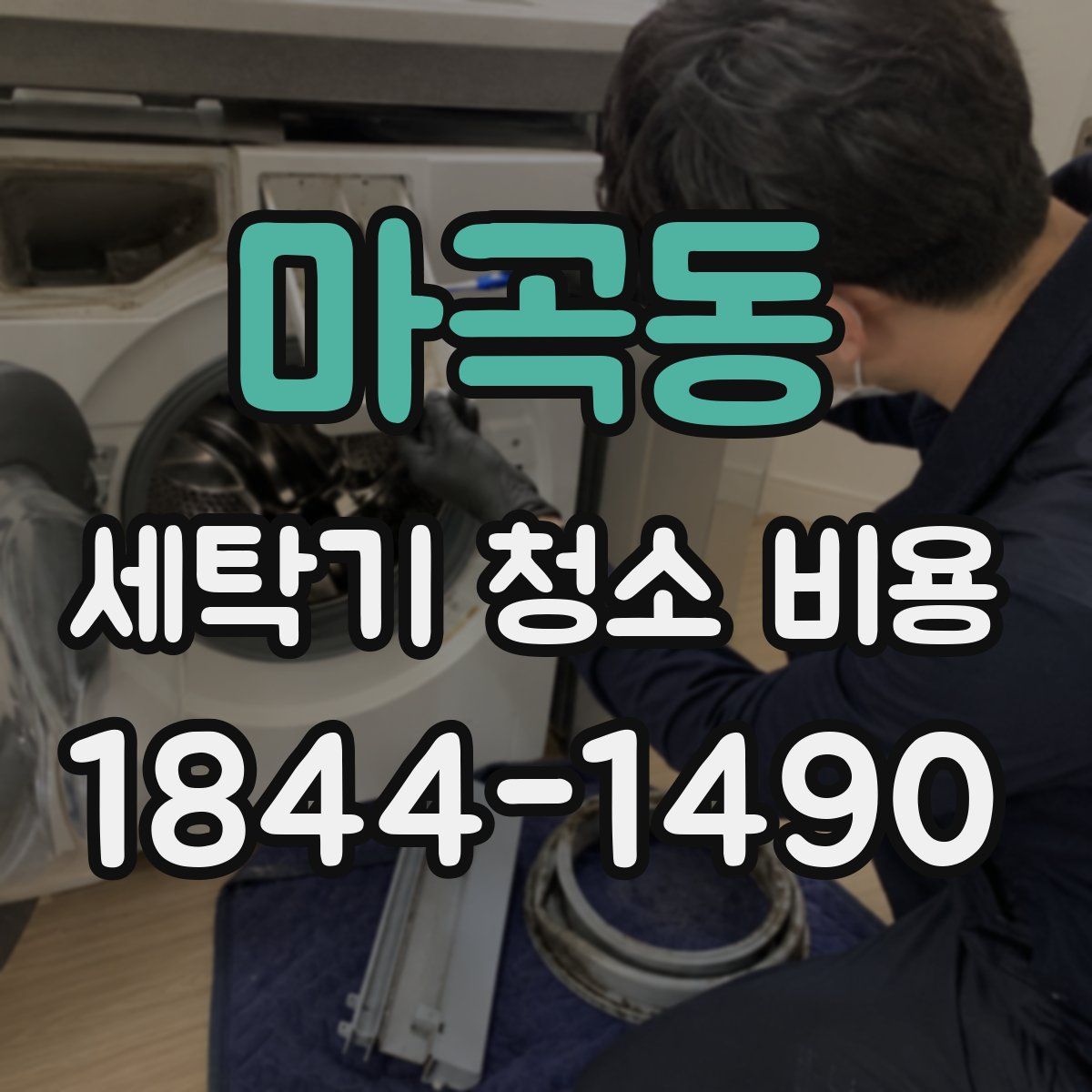 마곡동 세탁기 청소 비용