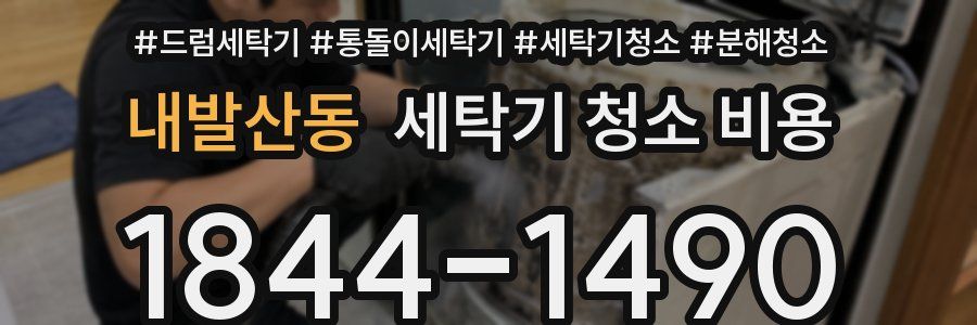 내발산동 세탁기 청소 비용