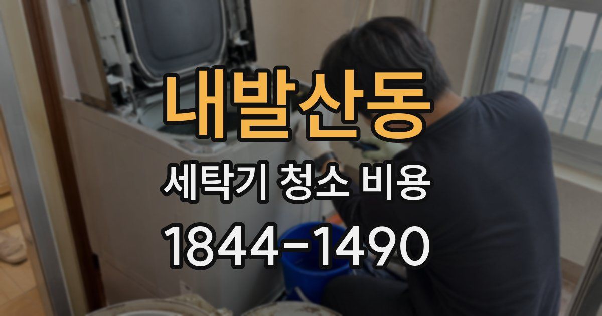 내발산동 세탁기 청소 비용