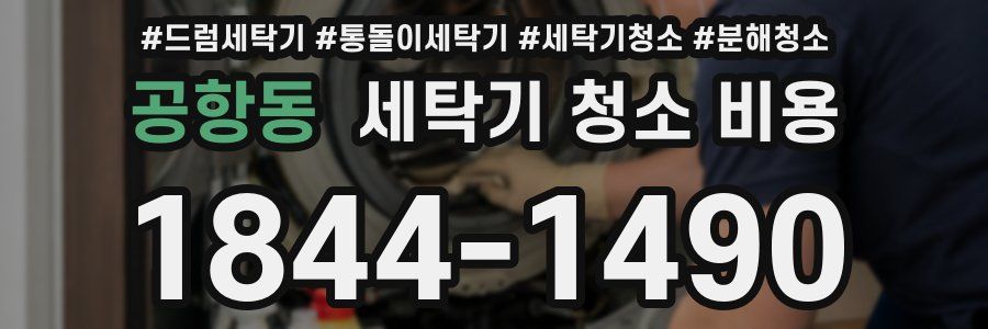 공항동 세탁기 청소 비용
