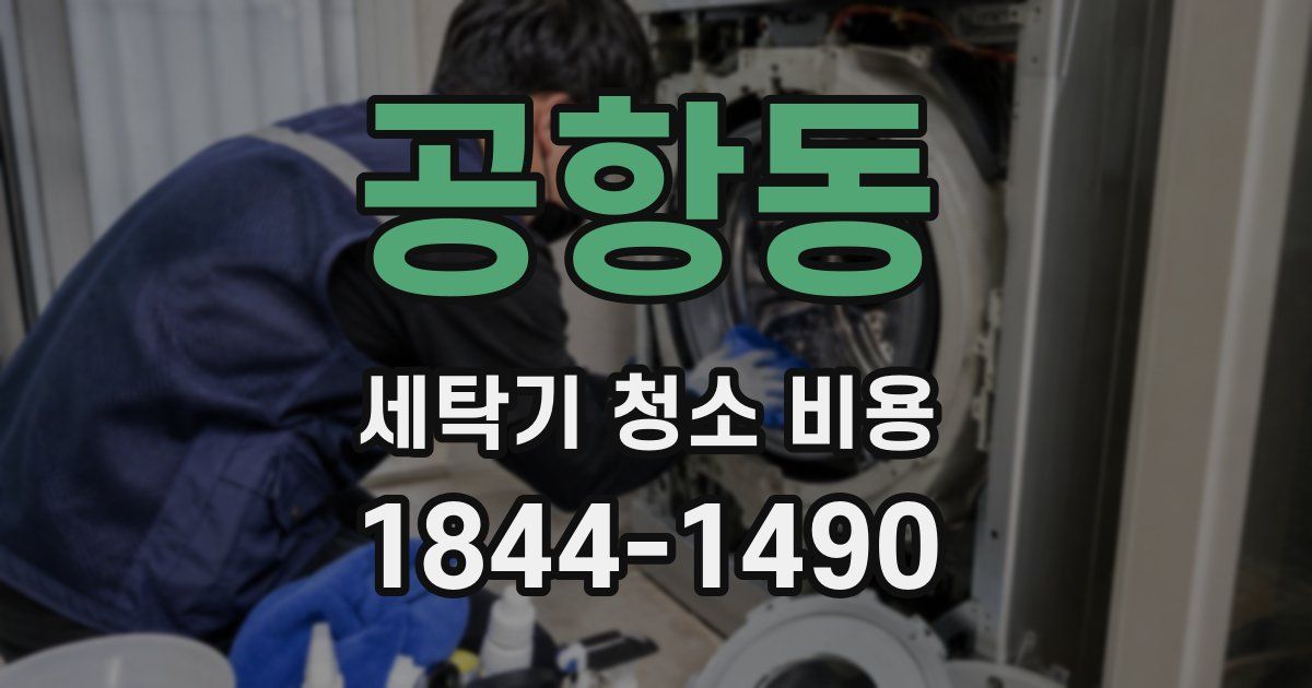 공항동 세탁기 청소 비용