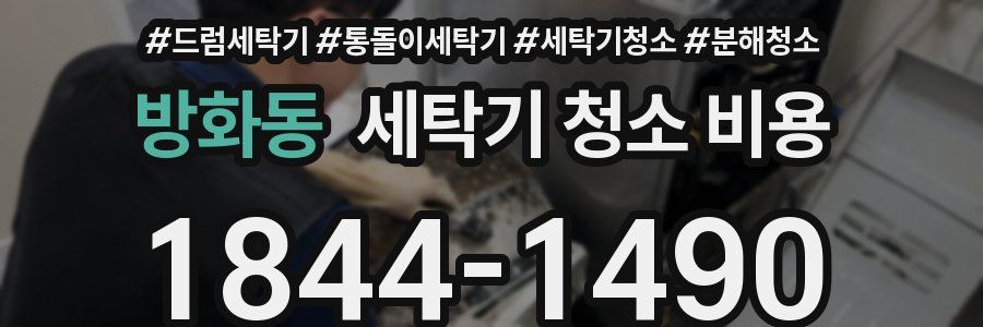 방화동 세탁기 청소 비용