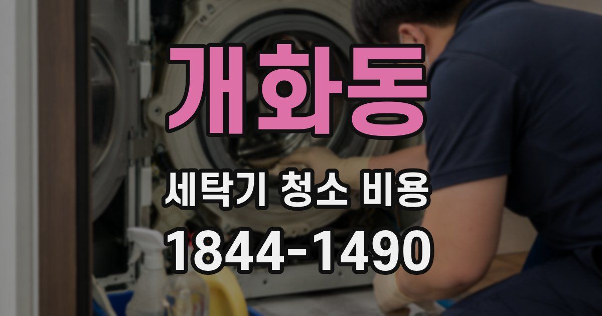 개화동 세탁기 청소 비용