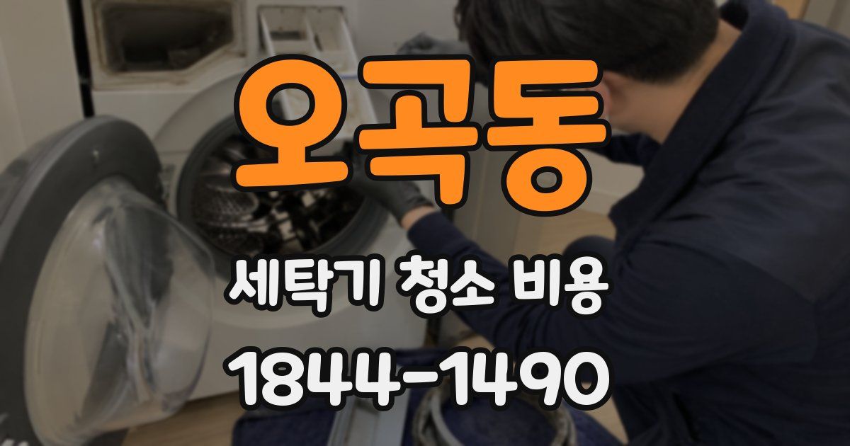 오곡동 세탁기 청소 비용