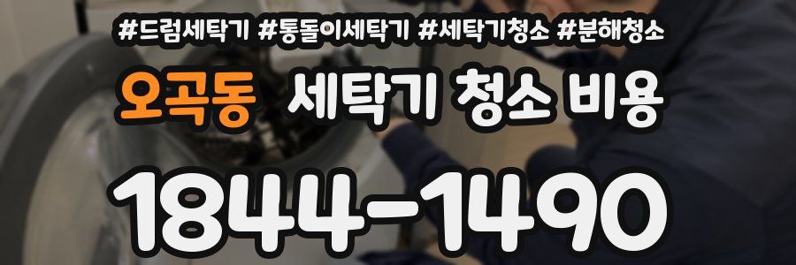 오곡동 세탁기 청소 비용