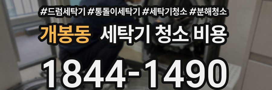 개봉동 세탁기 청소 비용
