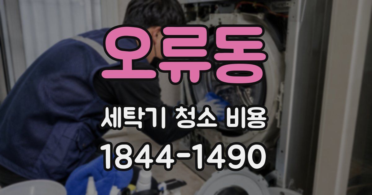 오류동 세탁기 청소 비용