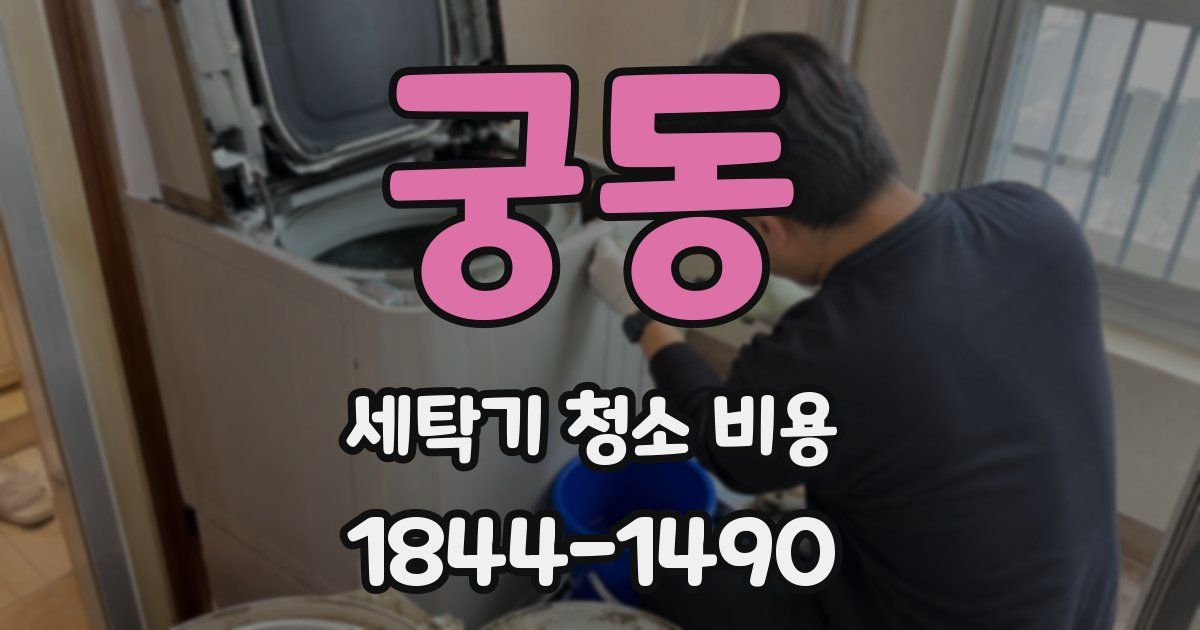 궁동 세탁기 청소 비용