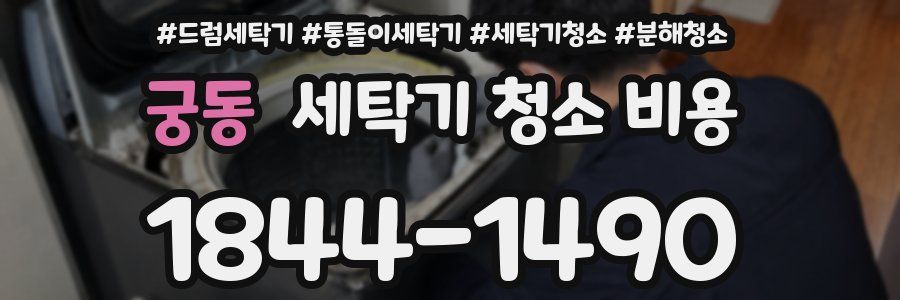 궁동 세탁기 청소 비용