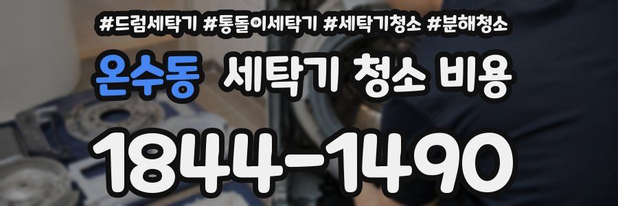 온수동 세탁기 청소 비용
