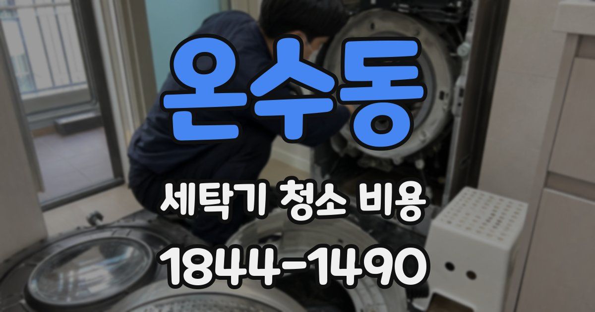 온수동 세탁기 청소 비용
