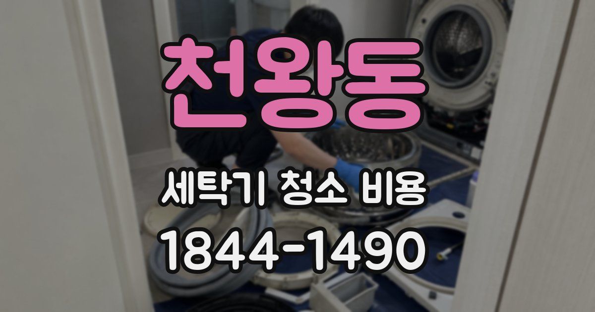 천왕동 세탁기 청소 비용