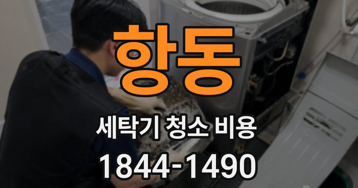 항동 세탁기 청소 비용