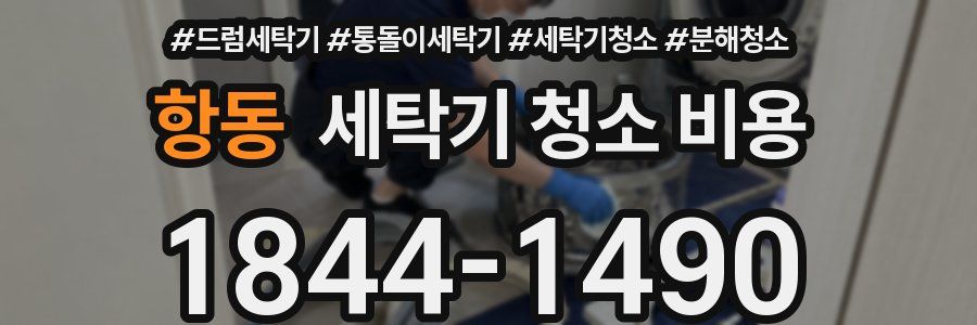 항동 세탁기 청소 비용