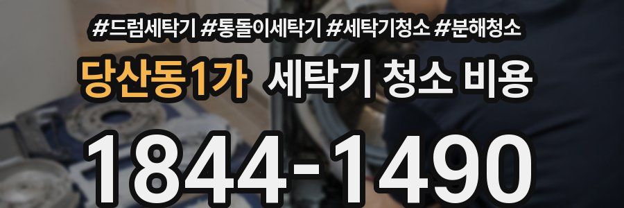 당산동1가 세탁기 청소 비용