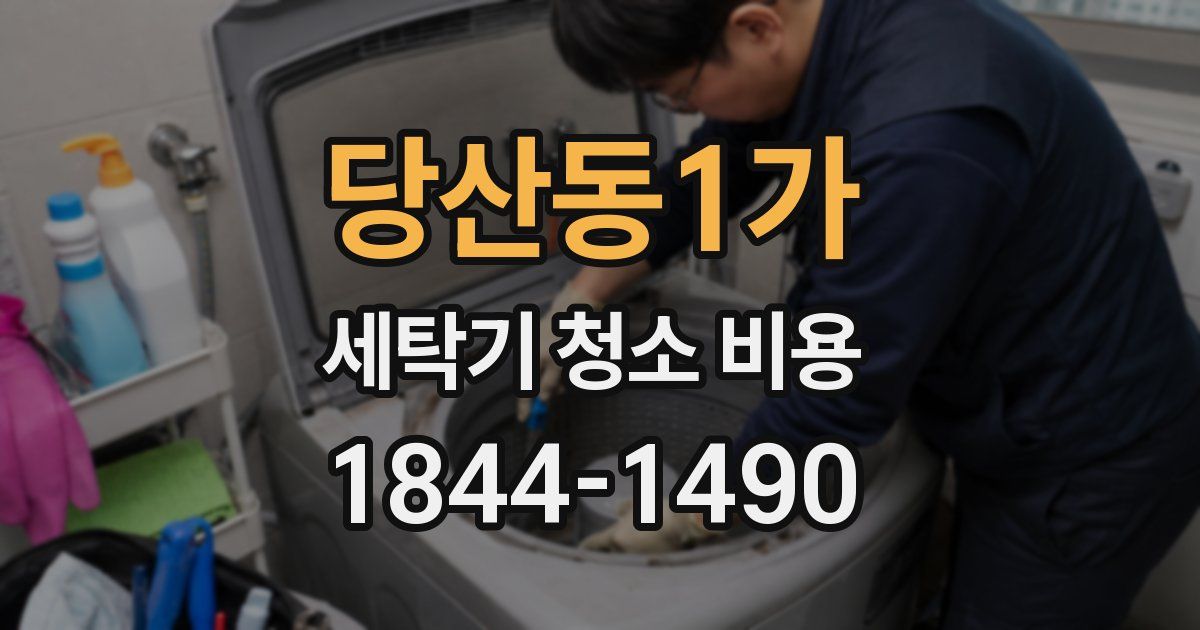 당산동1가 세탁기 청소 비용