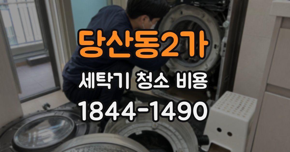 당산동2가 세탁기 청소 비용