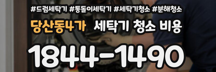당산동4가 세탁기 청소 비용