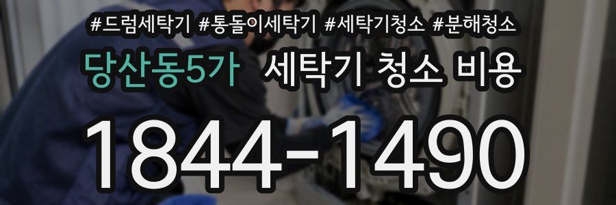 당산동5가 세탁기 청소 비용