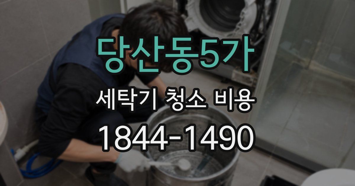 당산동5가 세탁기 청소 비용