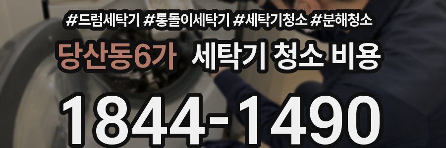 당산동6가 세탁기 청소 비용