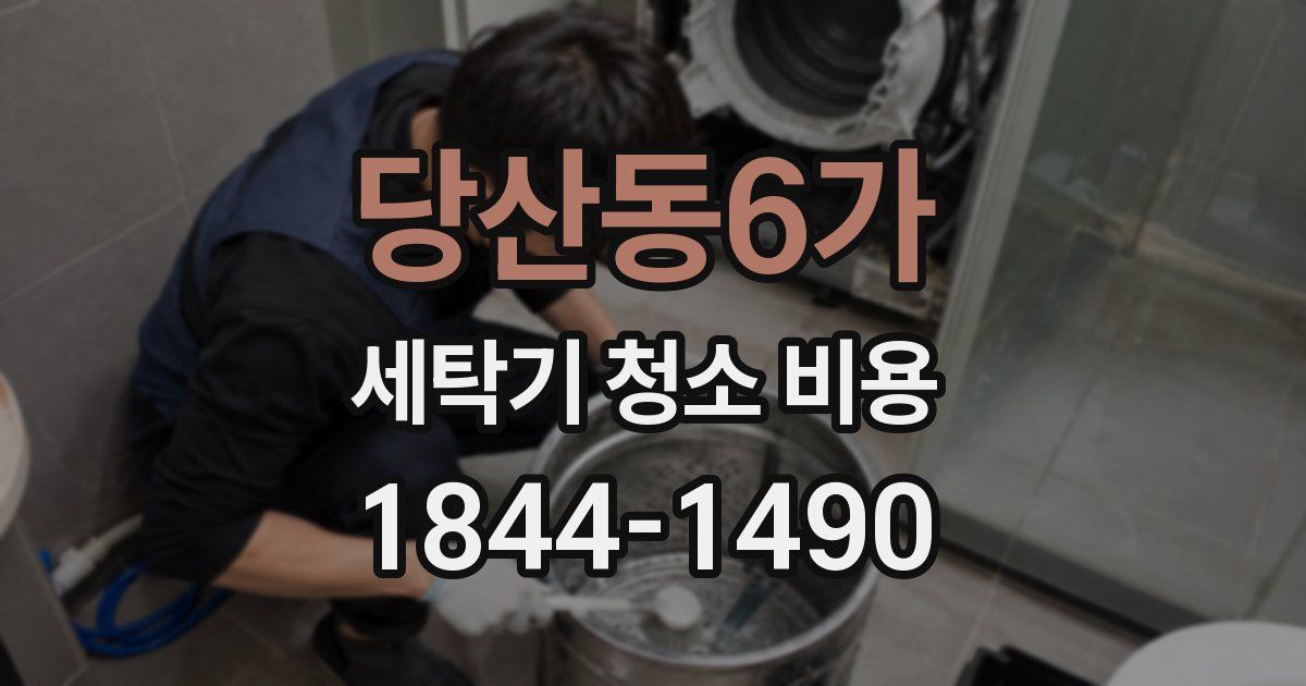 당산동6가 세탁기 청소 비용