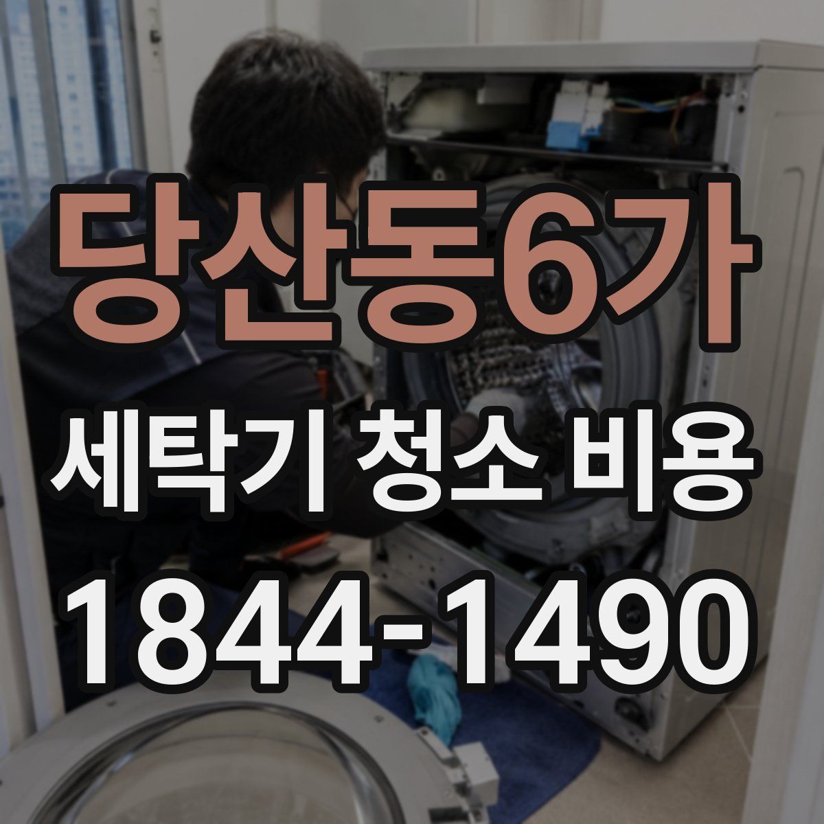 당산동6가 세탁기 청소 비용