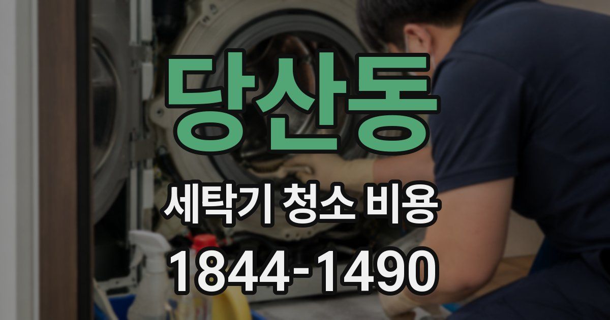 당산동 세탁기 청소 비용