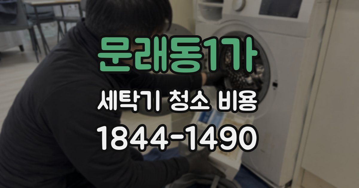 문래동1가 세탁기 청소 비용