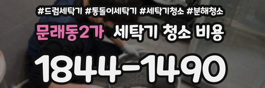 문래동2가 세탁기 청소 비용