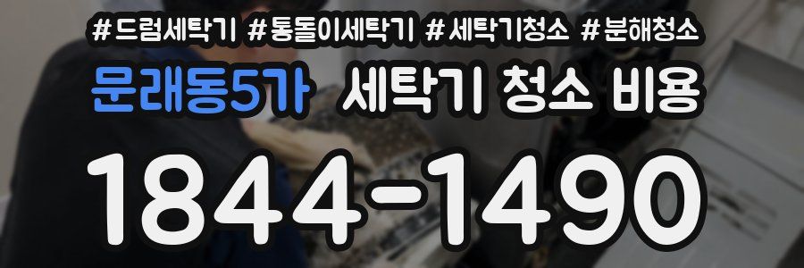문래동5가 세탁기 청소 비용