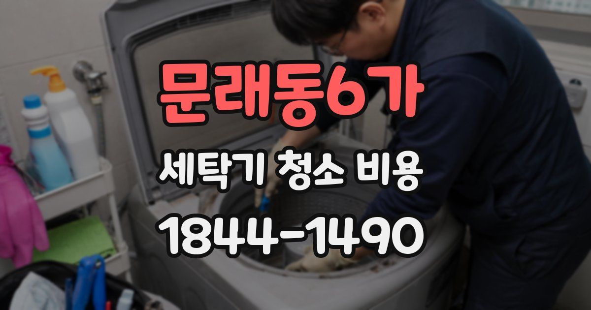 문래동6가 세탁기 청소 비용