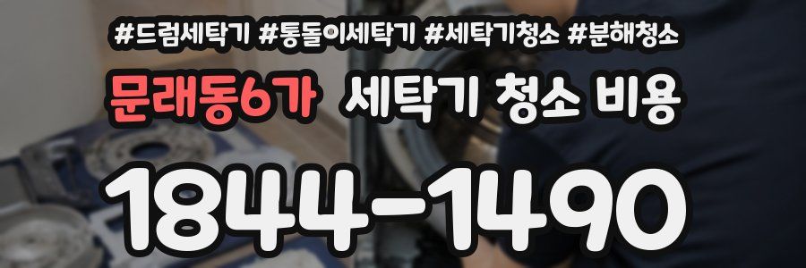 문래동6가 세탁기 청소 비용