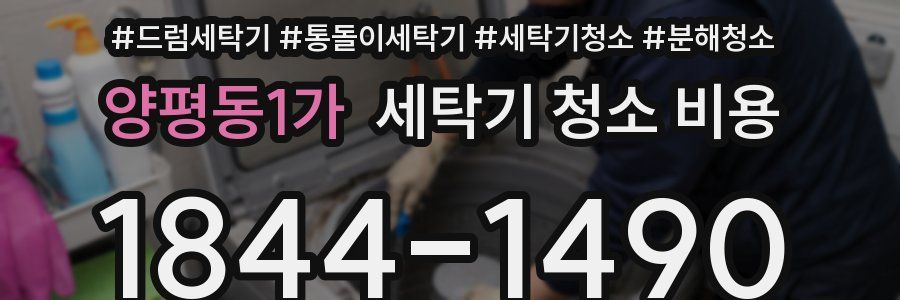 양평동1가 세탁기 청소 비용