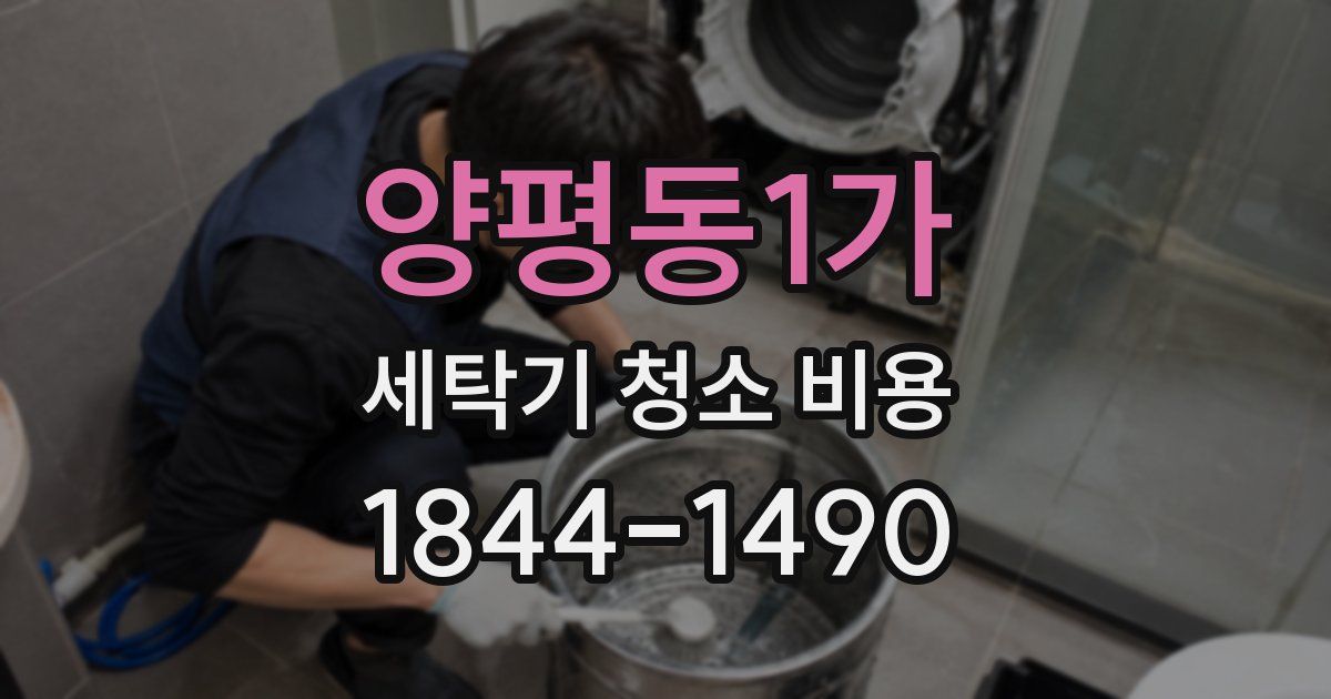 양평동1가 세탁기 청소 비용