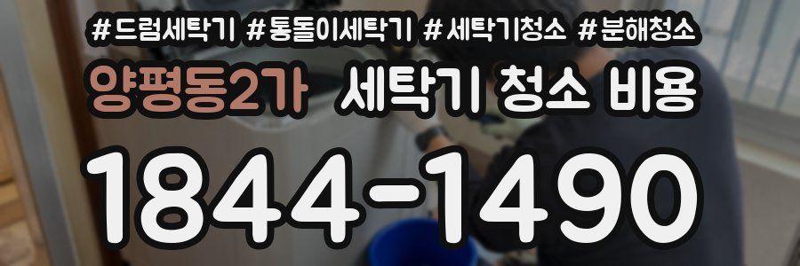 양평동2가 세탁기 청소 비용