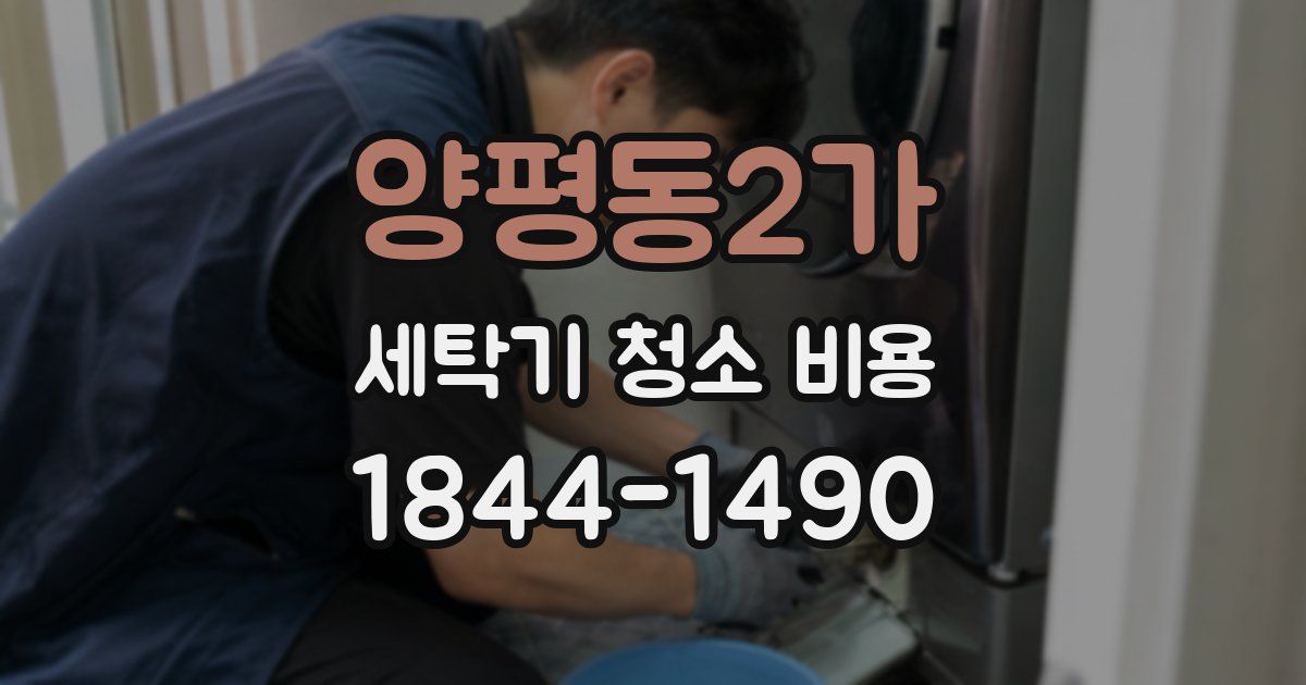 양평동2가 세탁기 청소 비용
