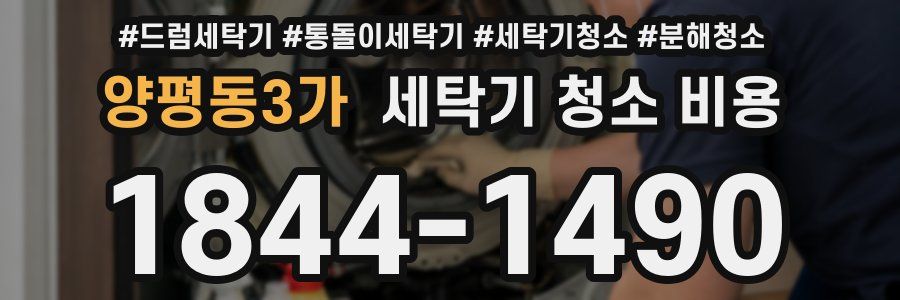 양평동3가 세탁기 청소 비용